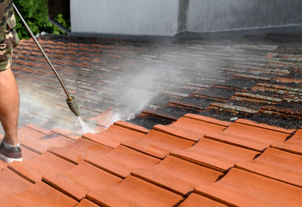 Best Deck Cleaning Services  in Boyd, TX