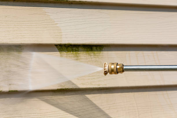 Best Roof Power Washing Services  in Boyd, TX